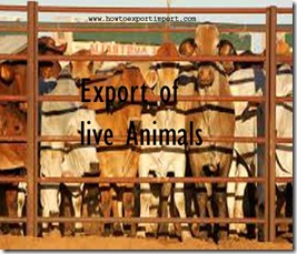 How to export live animals